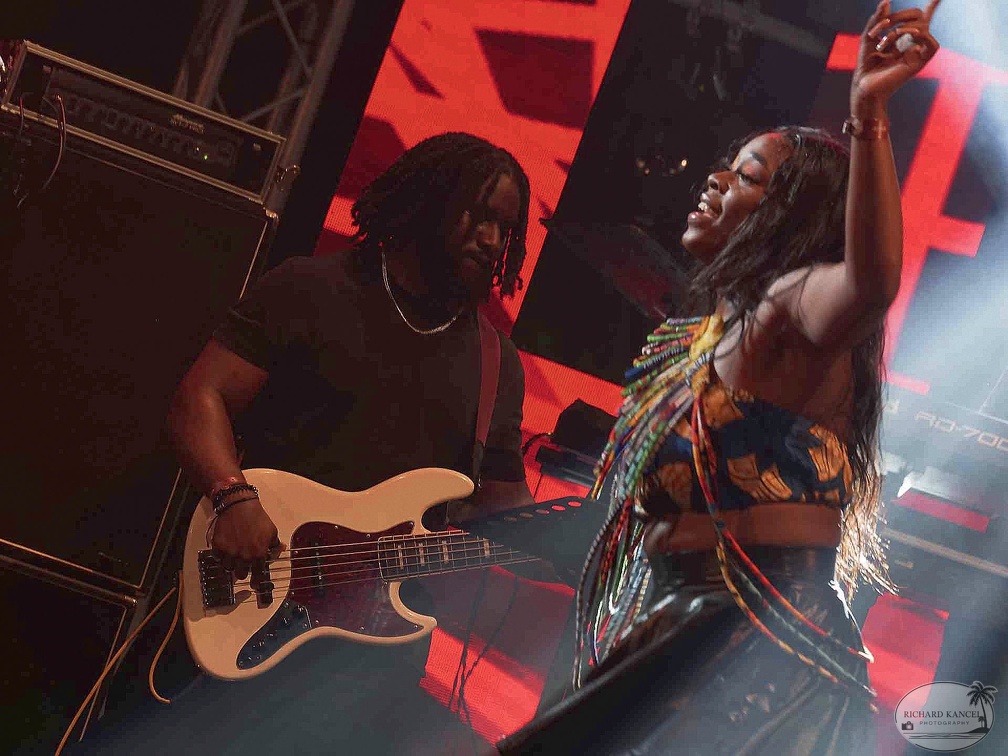 _1071165-yemi-alade-terre-de-blues.jpg