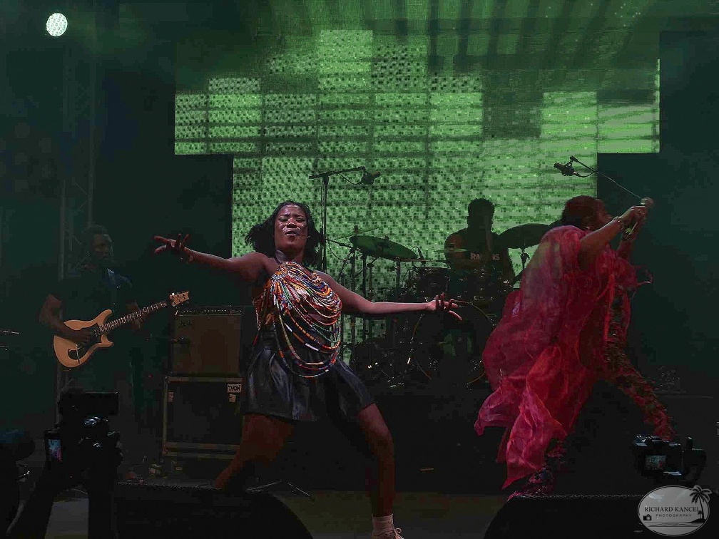 _1071176-yemi-alade-terre-de-blues.jpg