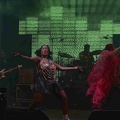 _1071176-yemi-alade-terre-de-blues.jpg