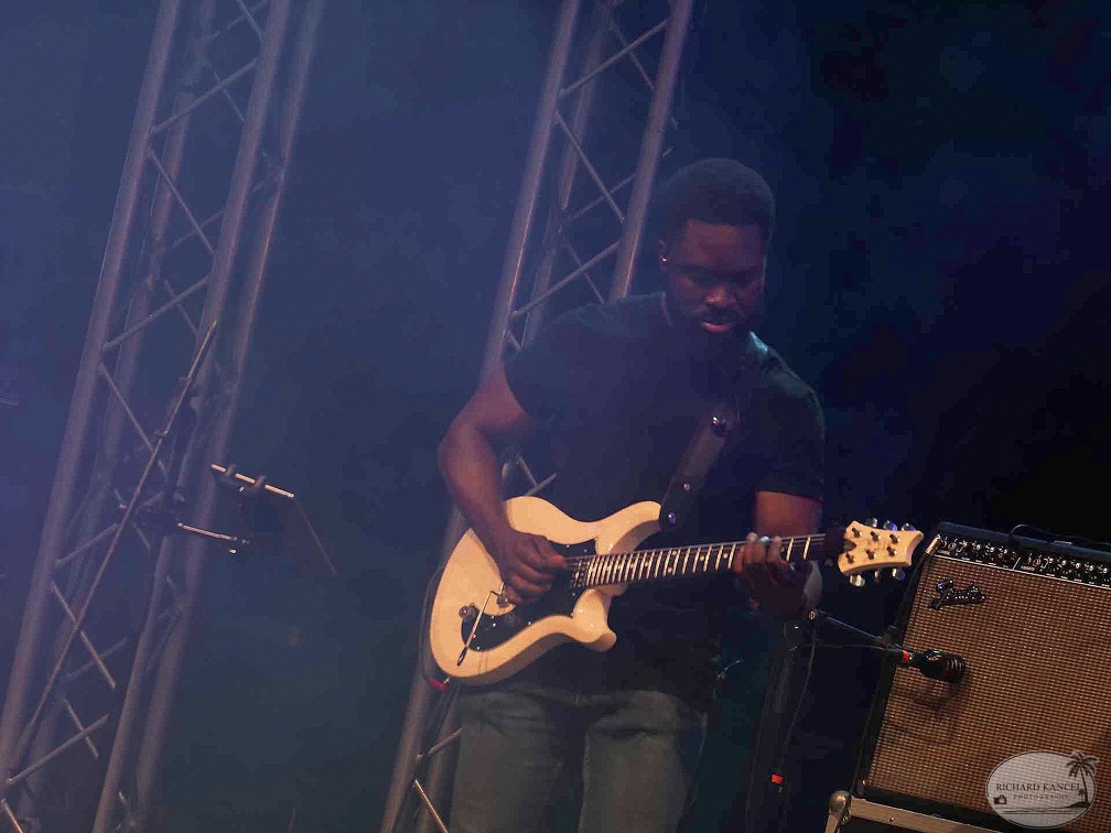 _1071184-yemi-alade-terre-de-blues.jpg
