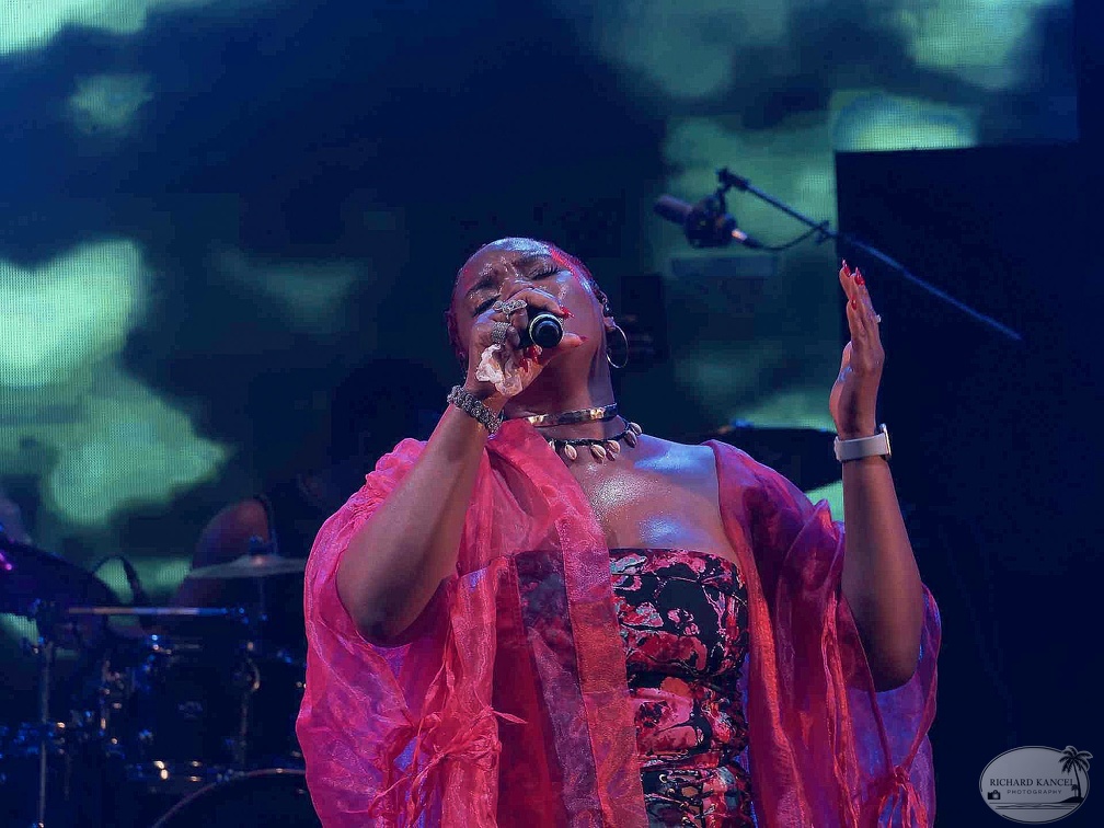 _1071223-yemi-alade-terre-de-blues.jpg