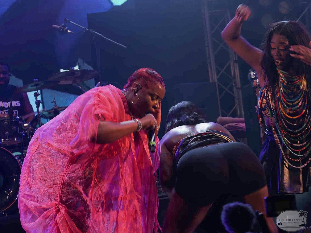 _1071233-yemi-alade-terre-de-blues.jpg