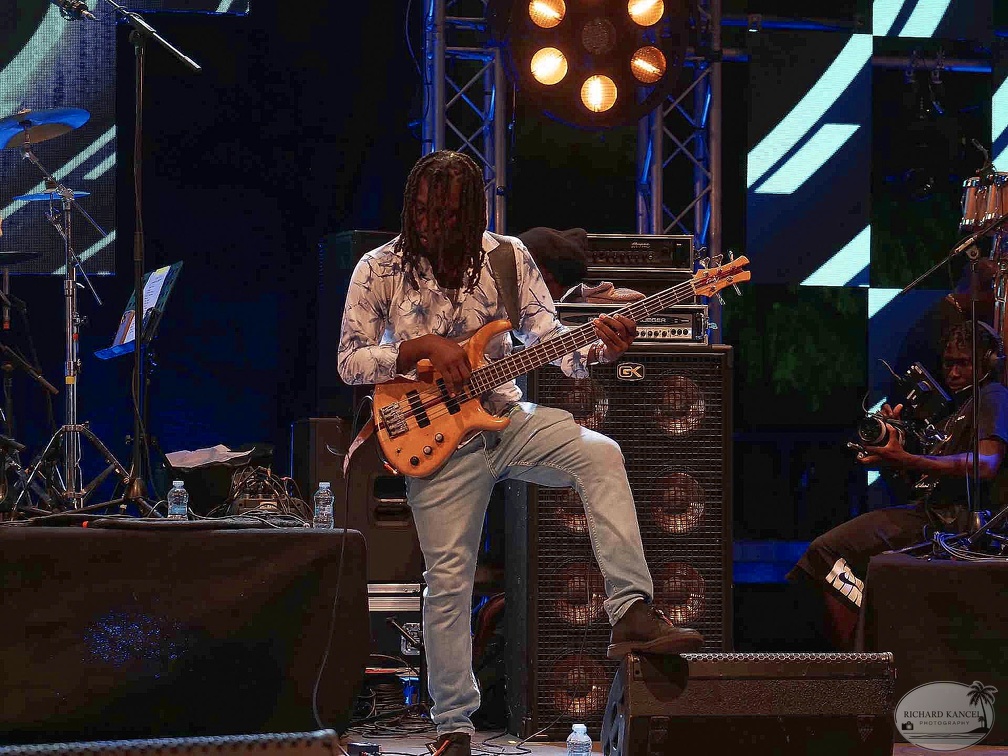 _1071250-julian-marley-terre-de-blues.jpg