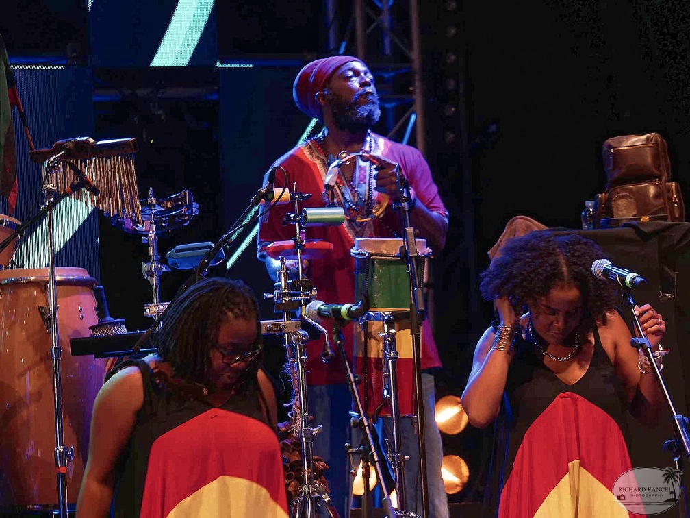 _1071252-julian-marley-terre-de-blues.jpg