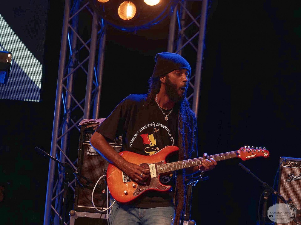 _1071254-julian-marley-terre-de-blues.jpg
