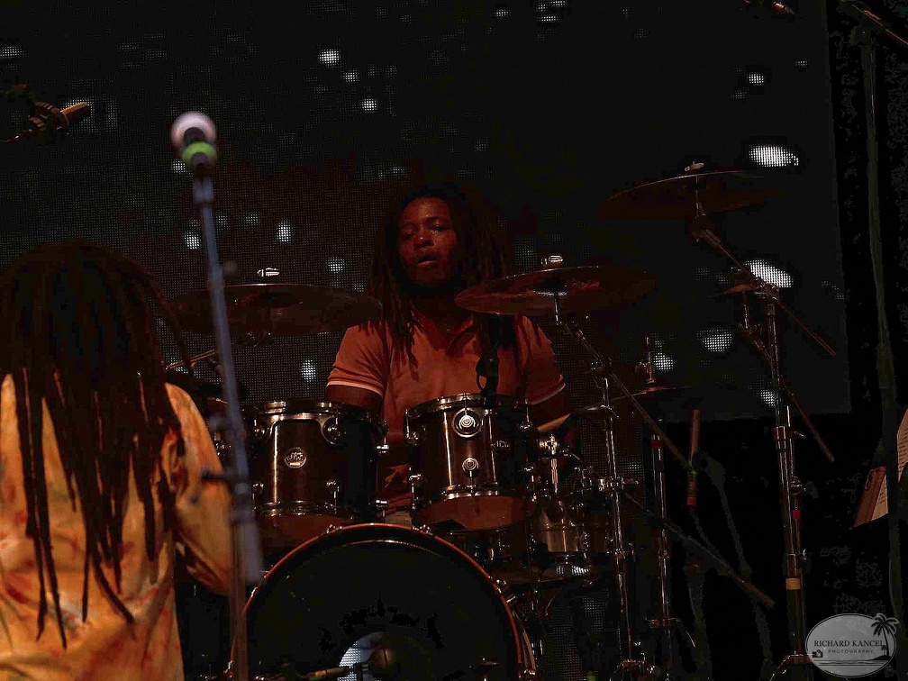 _1071300-julian-marley-terre-de-blues.jpg