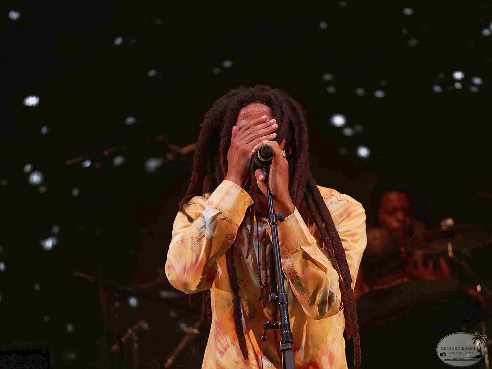 _1071304-julian-marley-terre-de-blues.jpg