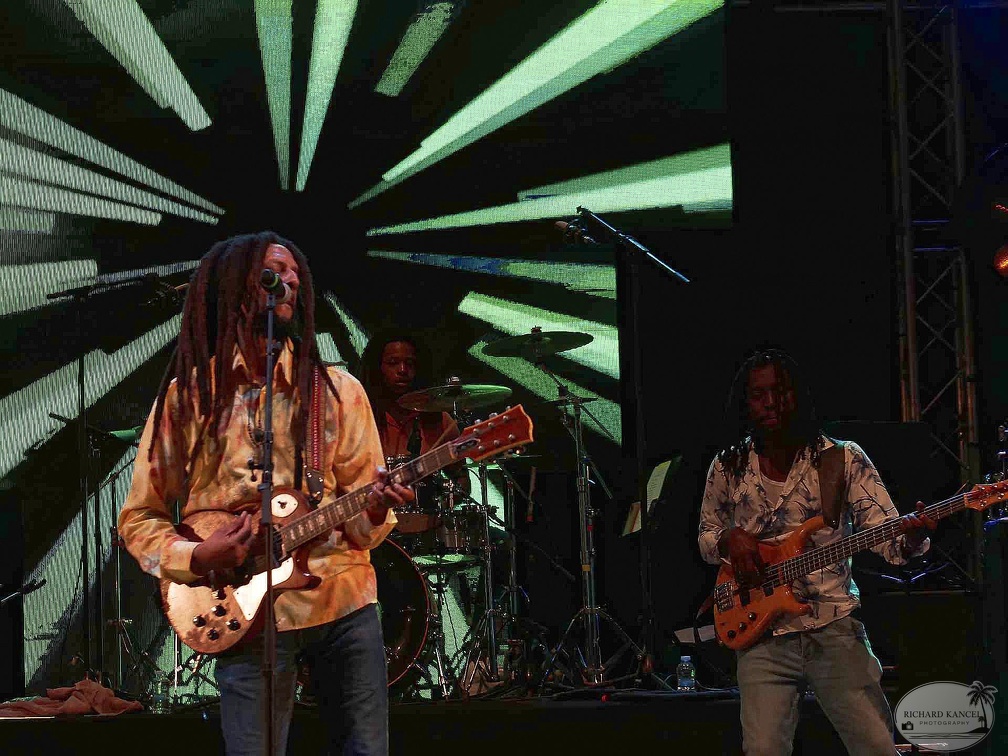 _1071326-julian-marley-terre-de-blues.jpg