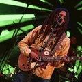 _1071327-julian-marley-terre-de-blues.jpg