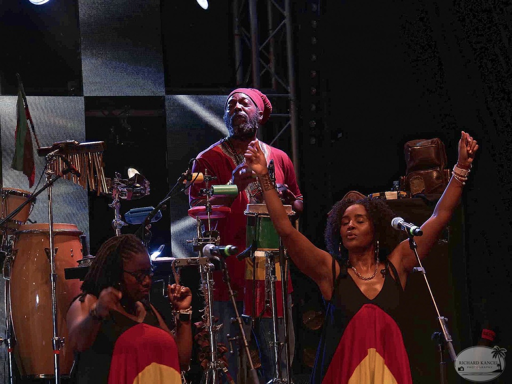 _1071339-julian-marley-terre-de-blues.jpg