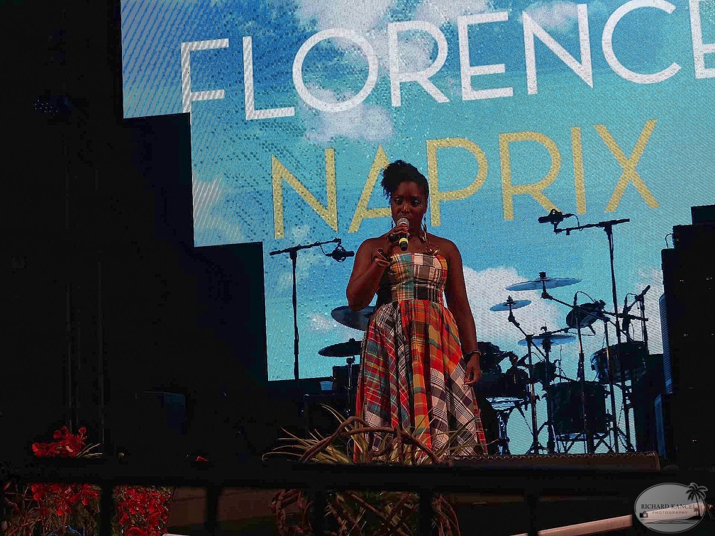 _1071368-florence-naprix-terre-de-blues.jpg