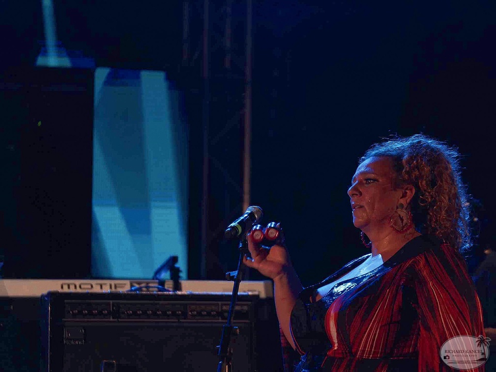 _1070949-odla-terre-de-blues.jpg