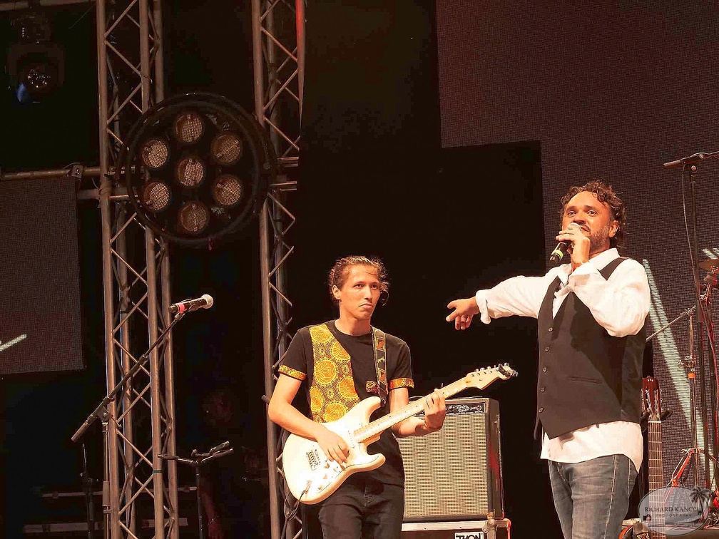 _1070991-odla-terre-de-blues.jpg