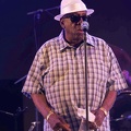 _1071045-donald-ray-johnson-terre-de-blues.jpg