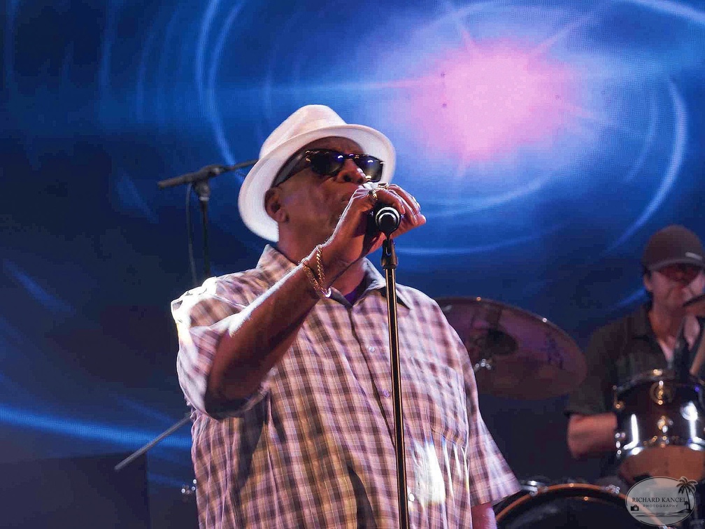 _1071047-donald-ray-johnson-terre-de-blues.jpg