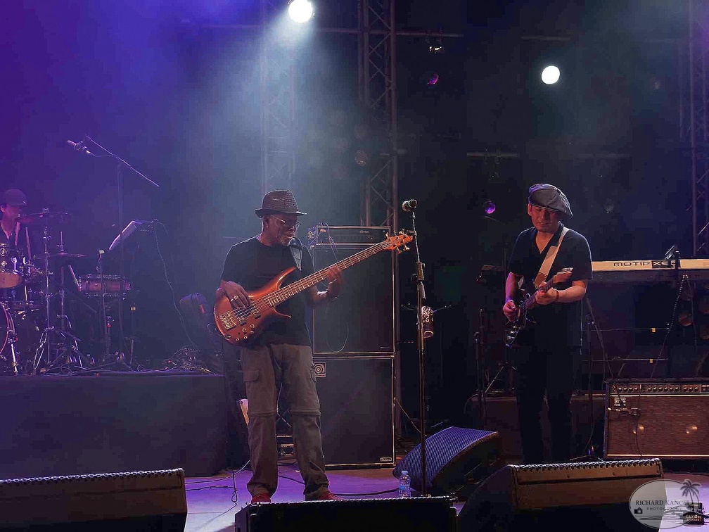 _1071078-donald-ray-johnson-terre-de-blues.jpg
