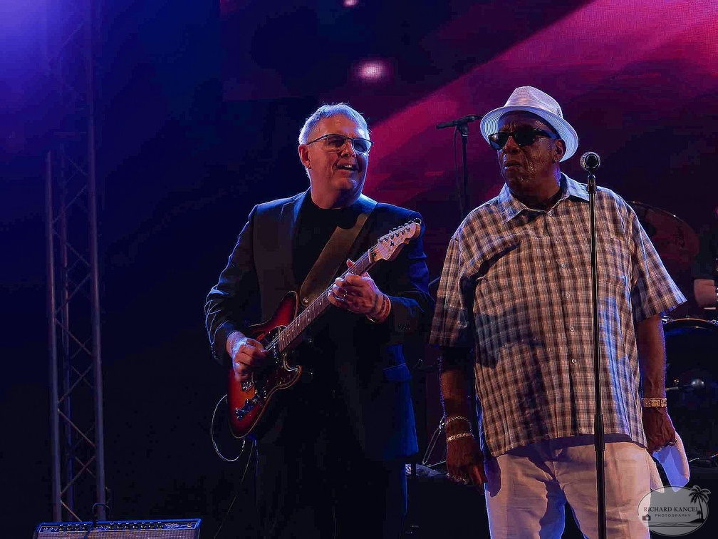 _1071080-donald-ray-johnson-terre-de-blues.jpg