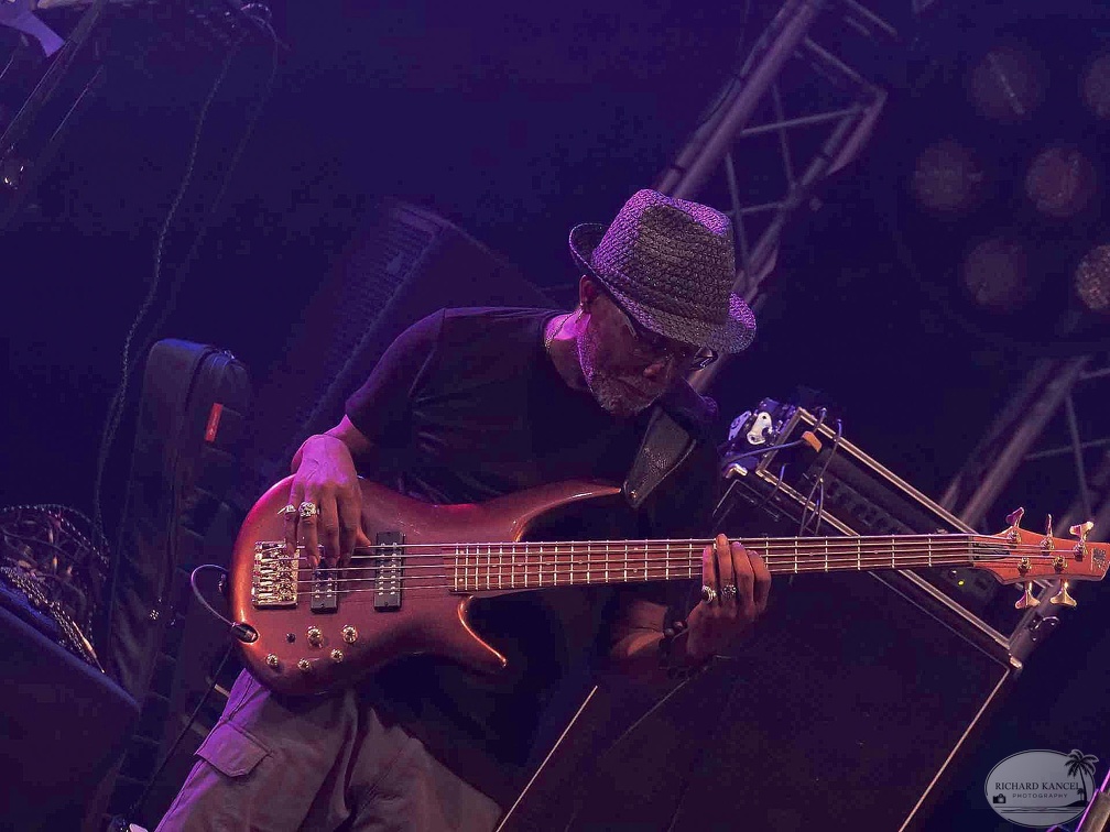 _1071115-donald-ray-johnson-terre-de-blues.jpg