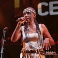 _1070794-celia-wa-terre-de-blues.jpg