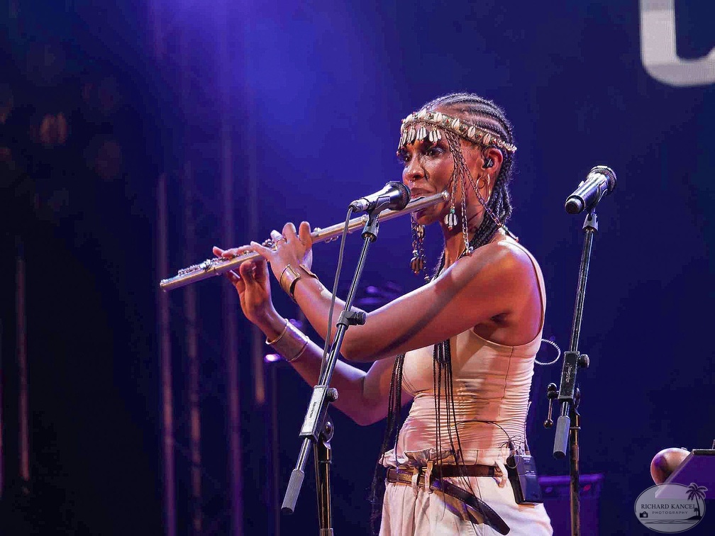 _1070818-celia-wa-terre-de-blues.jpg