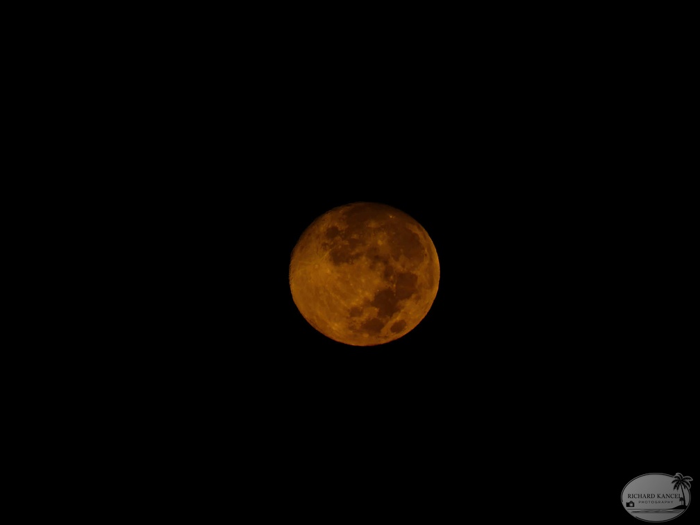 _1084638-lune-lune-hd.jpg