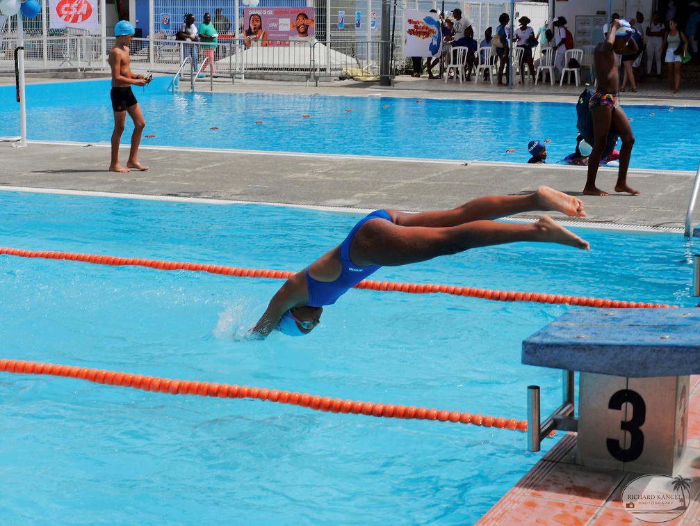 P1008704-shark.jpg