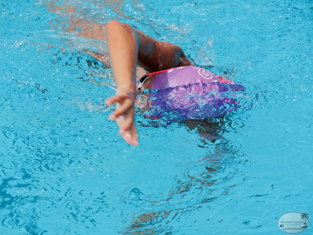 P1008754-shark.jpg