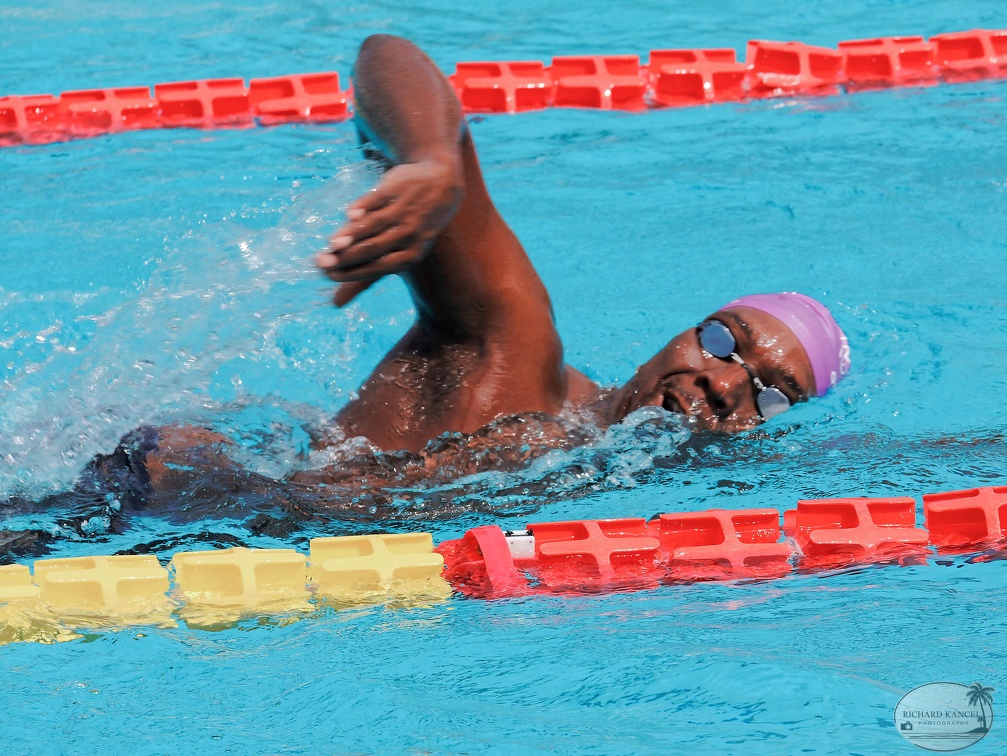 P1008758-shark.jpg