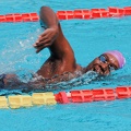 P1008758-shark.jpg