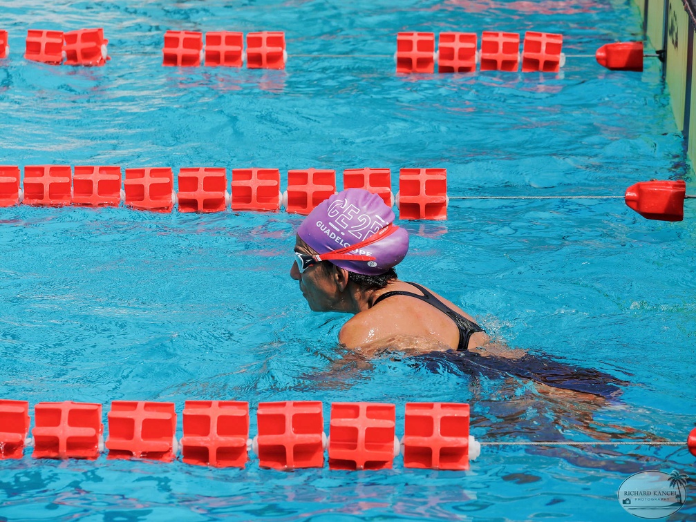 P1008782-shark.jpg