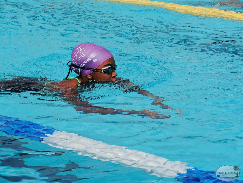 P1008784-shark.jpg