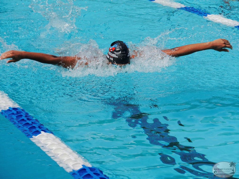 P1008789-shark.jpg