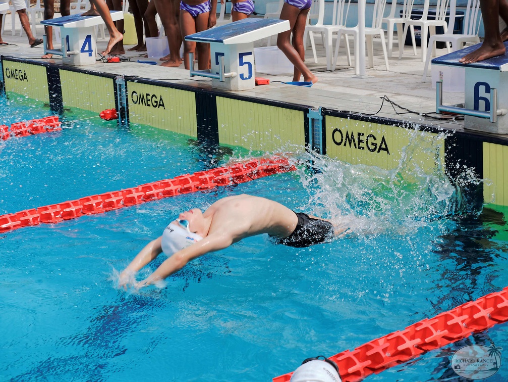 P1008835-shark.jpg