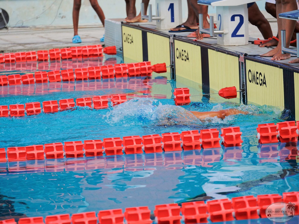 P1008860-shark.jpg