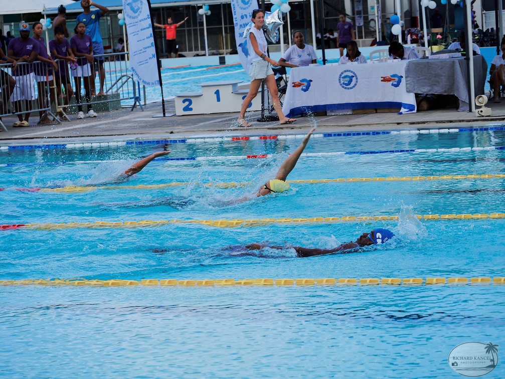 P1008906-shark.jpg