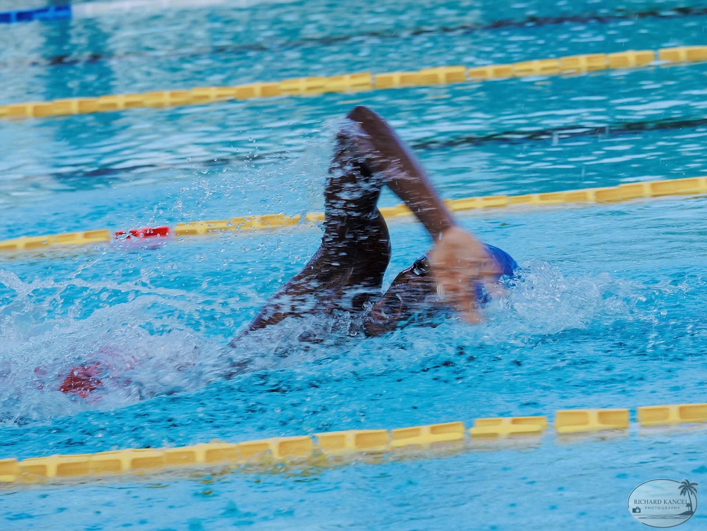 P1008928-shark.jpg