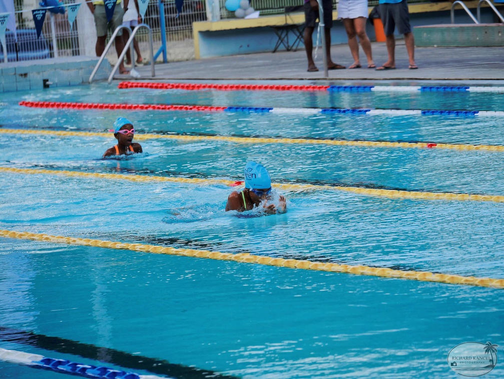 P1008939-shark.jpg