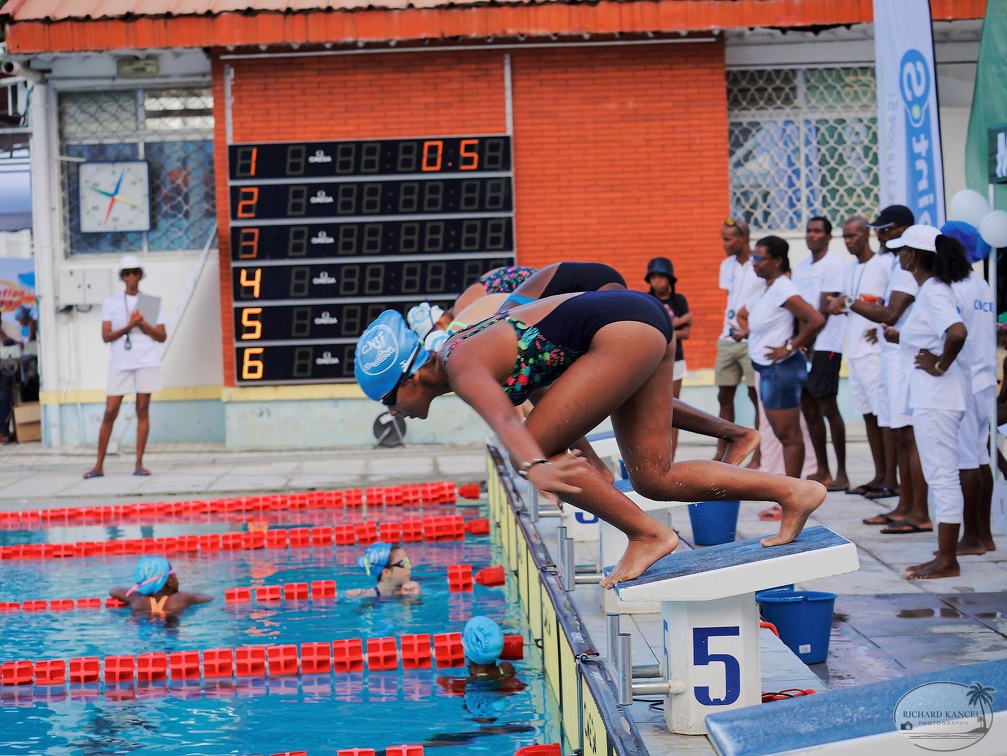 P1008958-shark.jpg