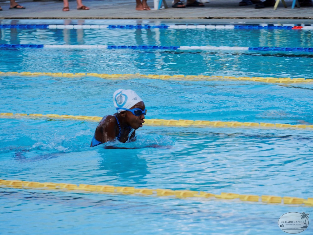 P1008965-shark.jpg