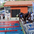 P1008980-shark.jpg