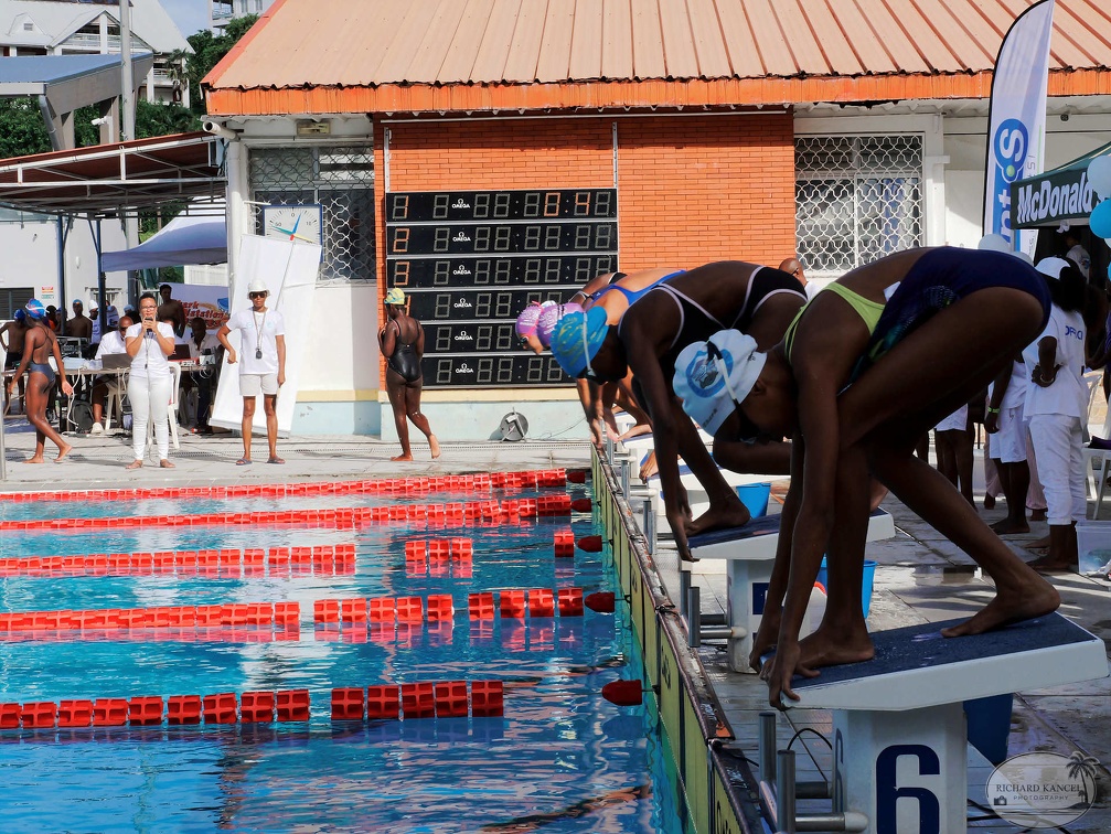 P1008991-shark.jpg