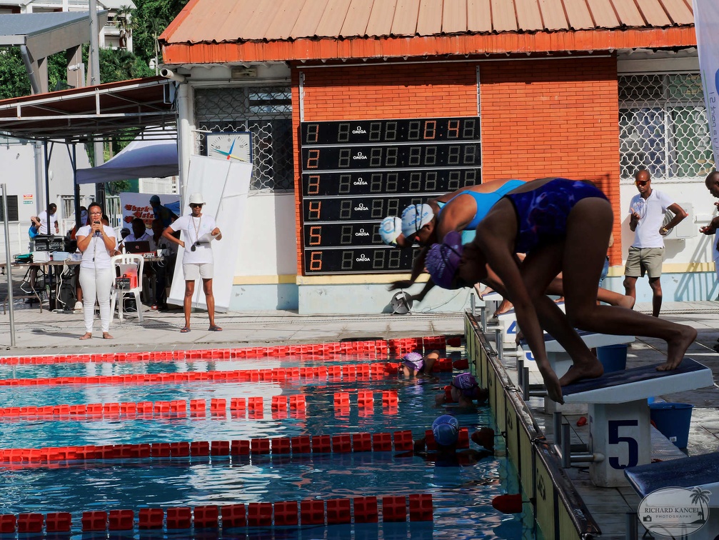 P1009018-shark.jpg