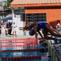 P1009019-shark.jpg