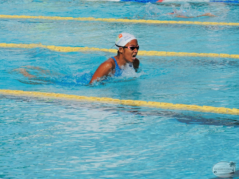P1009034-shark.jpg