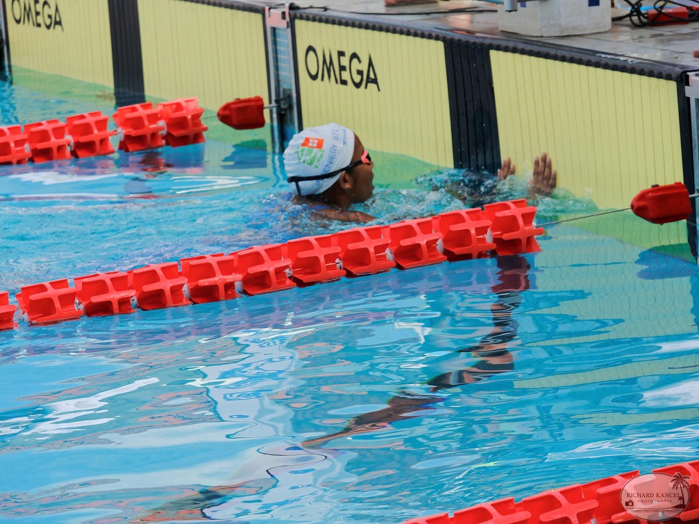P1009042-shark.jpg