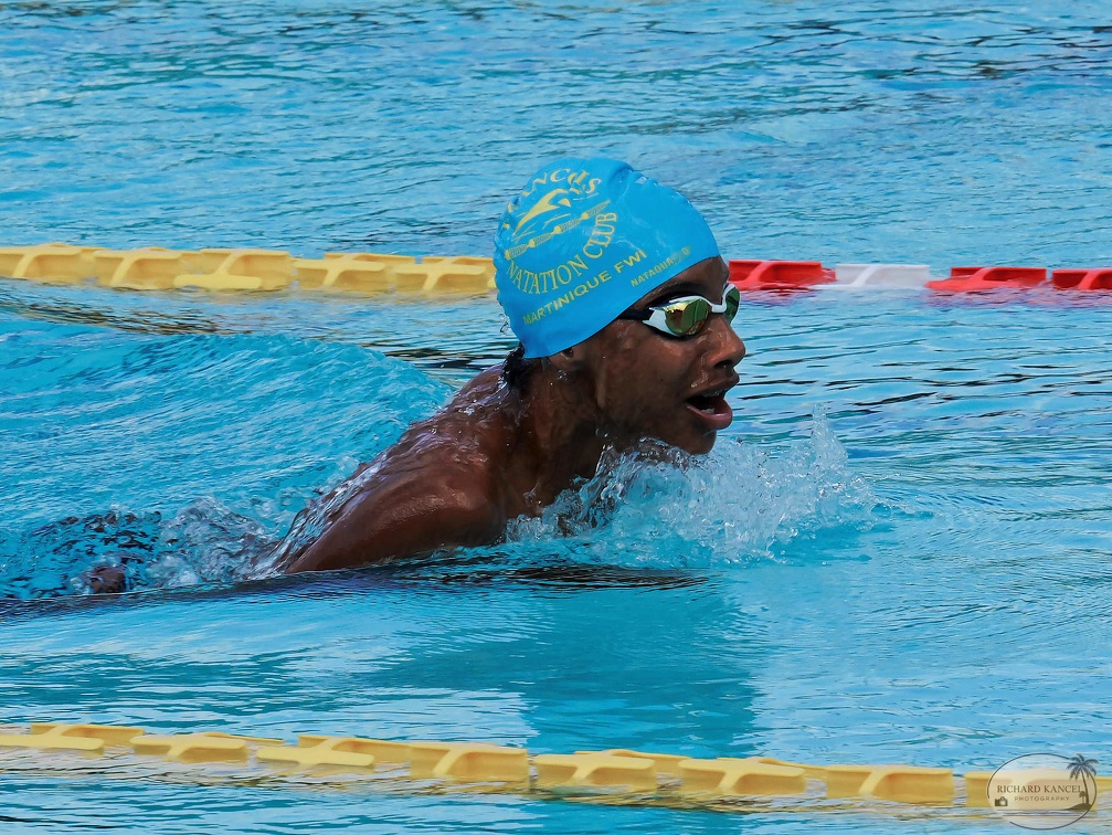 P1009057-shark.jpg