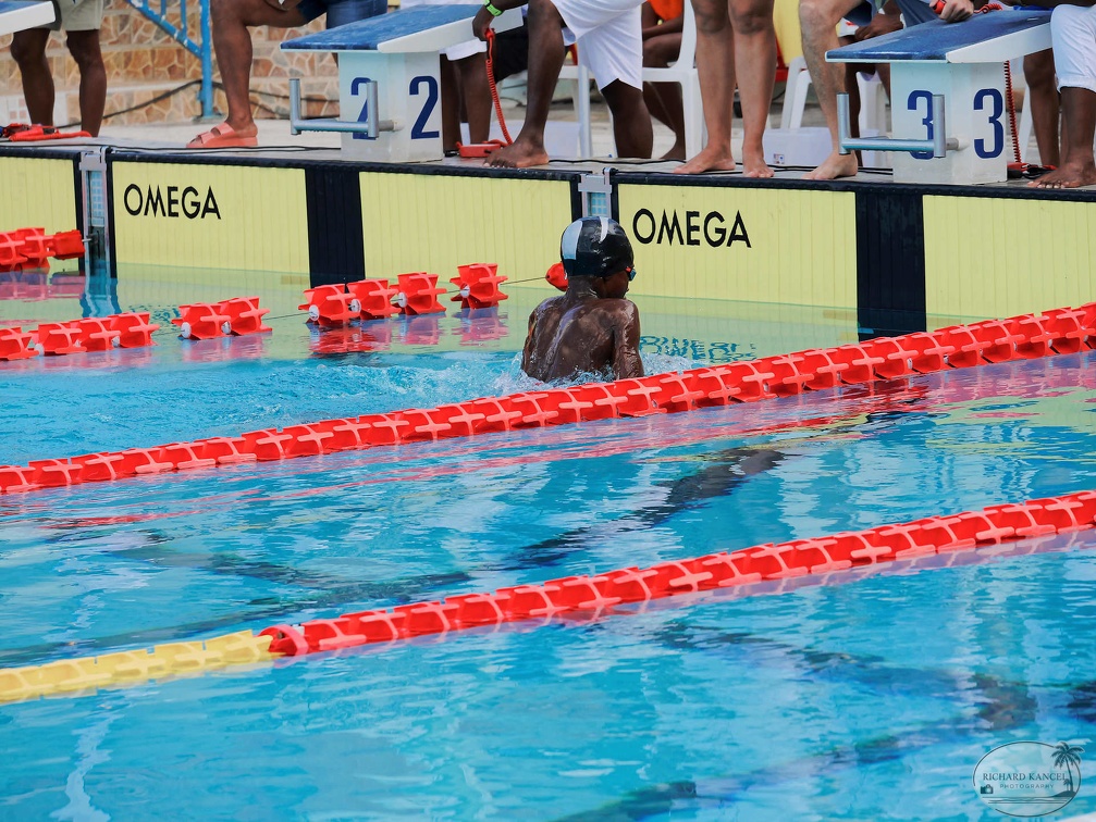 P1009063-shark.jpg