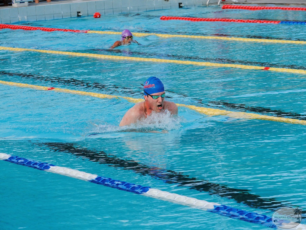 P1009075-shark.jpg