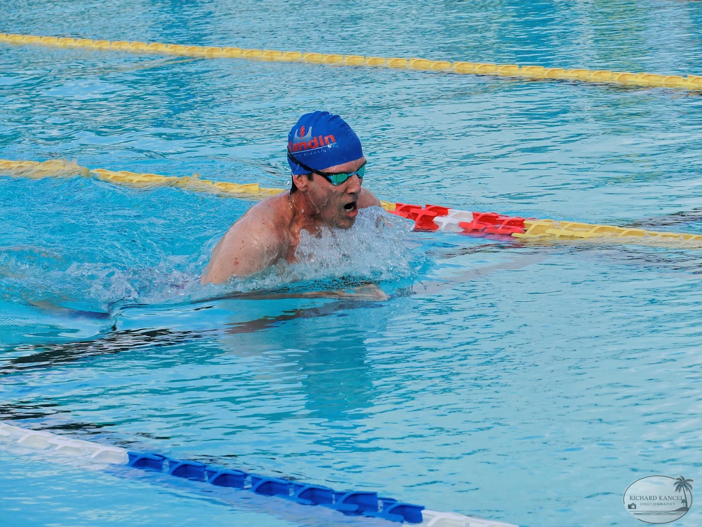 P1009078-shark.jpg