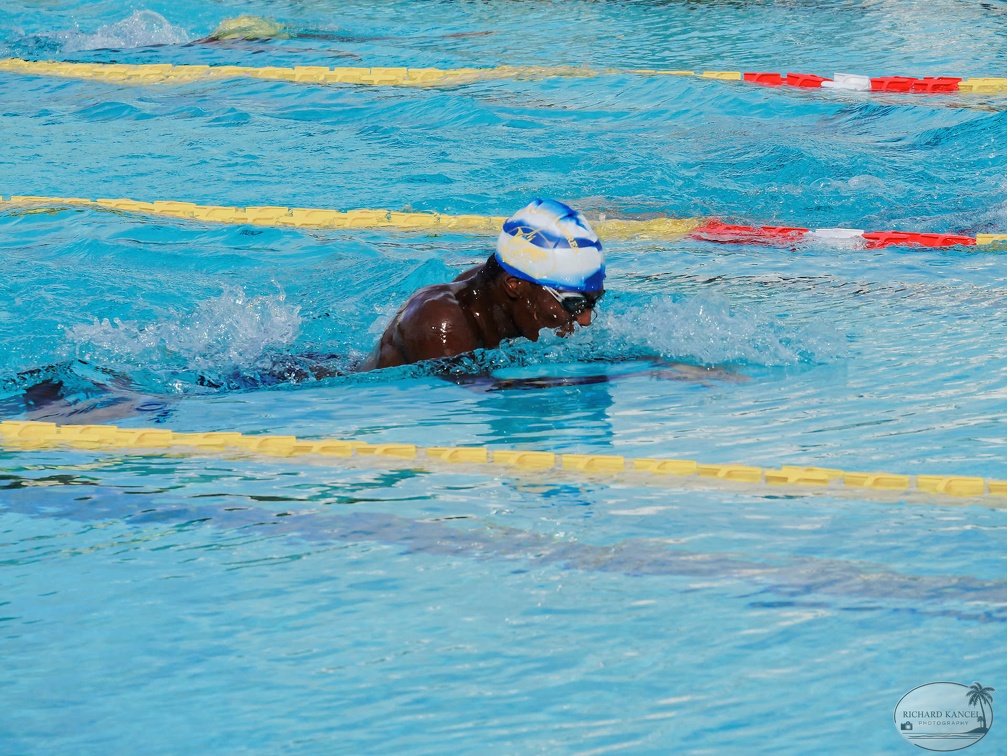 P1009107-shark.jpg